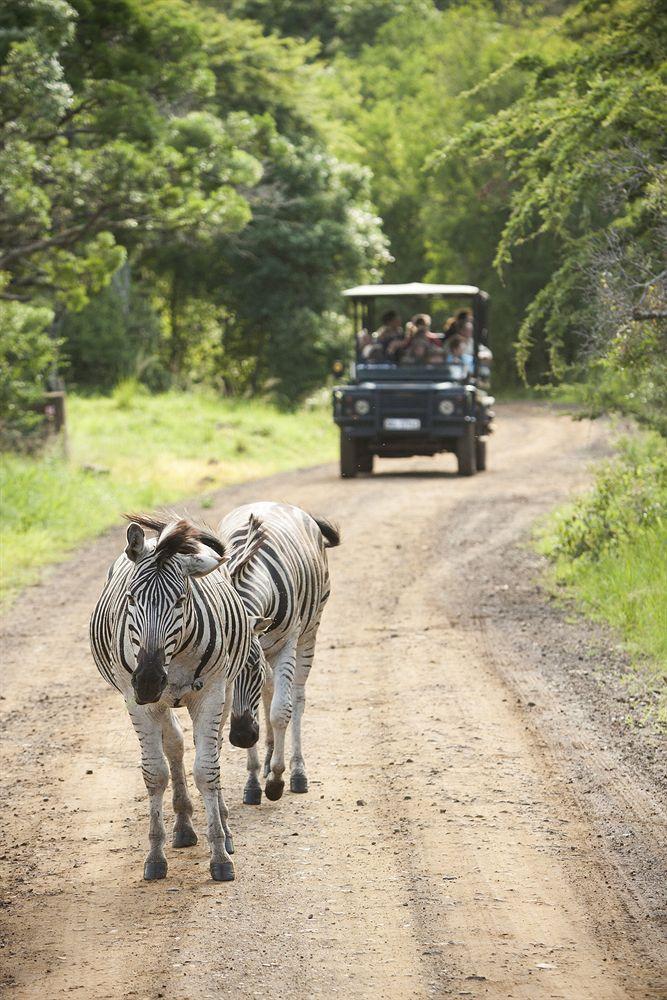 שלושלואי Zululand Safari Lodge מראה חיצוני תמונה